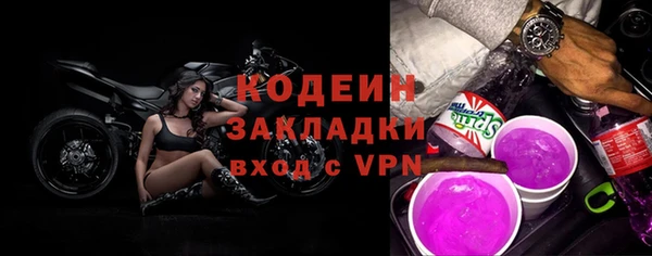 гашик Майский