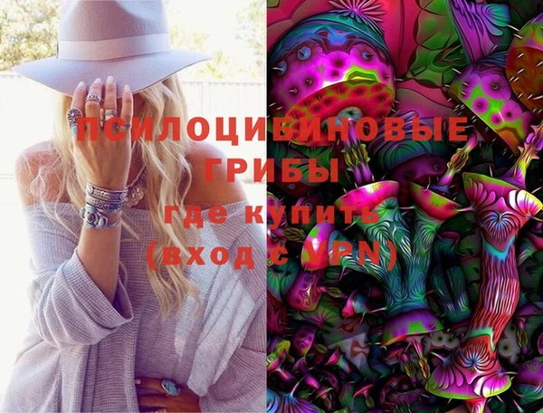 кокс Анива