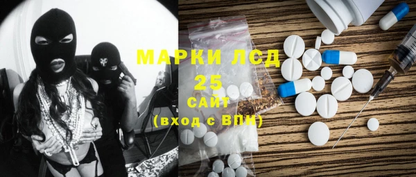 гашик Майский