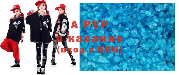 гашик Майский