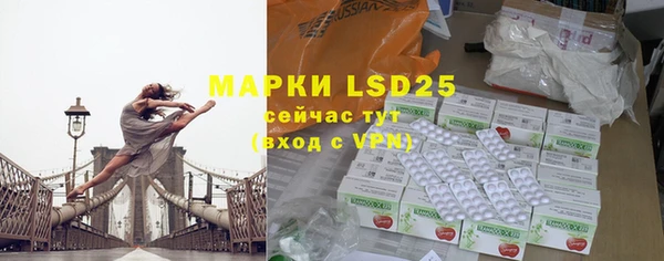ГАЛЛЮЦИНОГЕННЫЕ ГРИБЫ Магадан
