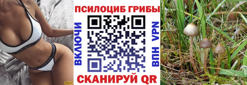 Галлюциногенные грибы мицелий  Купить где  Кувшиново 
